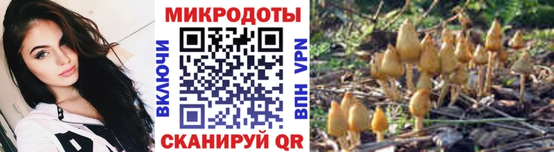 Псилоцибиновые грибы прущие грибы  цена наркотик  Кириши 