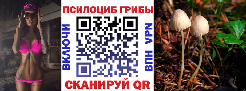Псилоцибиновые грибы Psilocybe Кириши